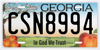 GA license plate CSN8994