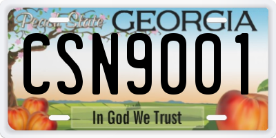 GA license plate CSN9001