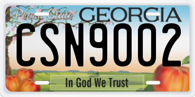 GA license plate CSN9002