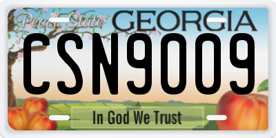 GA license plate CSN9009