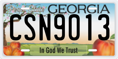 GA license plate CSN9013