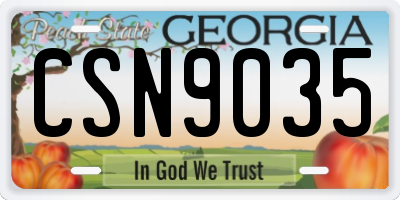 GA license plate CSN9035