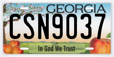GA license plate CSN9037