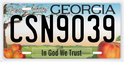 GA license plate CSN9039
