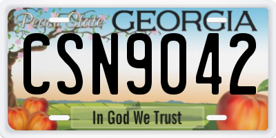 GA license plate CSN9042
