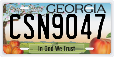 GA license plate CSN9047