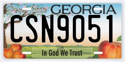 GA license plate CSN9051