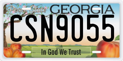 GA license plate CSN9055