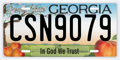 GA license plate CSN9079