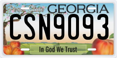 GA license plate CSN9093