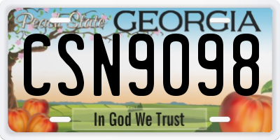 GA license plate CSN9098