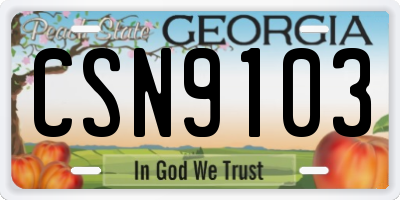 GA license plate CSN9103