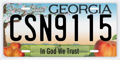 GA license plate CSN9115