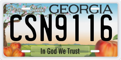 GA license plate CSN9116