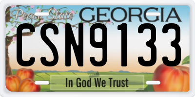 GA license plate CSN9133