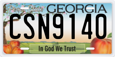 GA license plate CSN9140