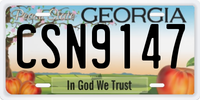GA license plate CSN9147