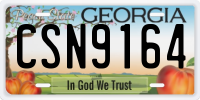 GA license plate CSN9164