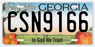 GA license plate CSN9166