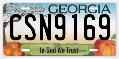 GA license plate CSN9169