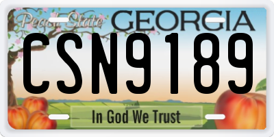 GA license plate CSN9189