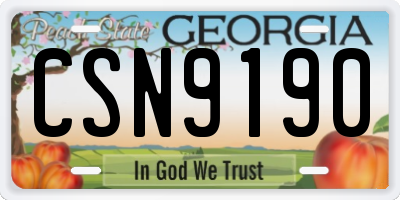 GA license plate CSN9190