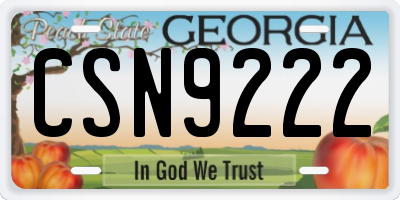 GA license plate CSN9222