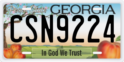 GA license plate CSN9224