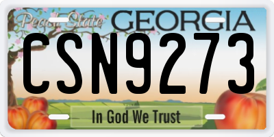 GA license plate CSN9273
