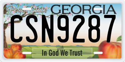 GA license plate CSN9287
