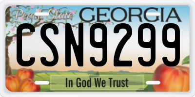 GA license plate CSN9299