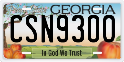 GA license plate CSN9300