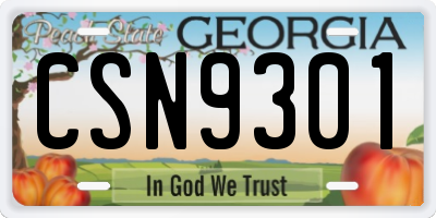 GA license plate CSN9301