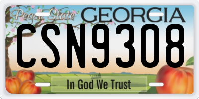 GA license plate CSN9308