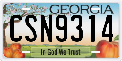 GA license plate CSN9314