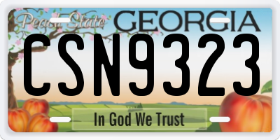 GA license plate CSN9323