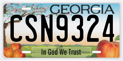 GA license plate CSN9324