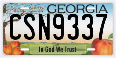 GA license plate CSN9337