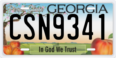 GA license plate CSN9341