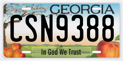GA license plate CSN9388