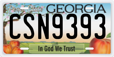 GA license plate CSN9393