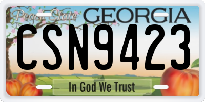 GA license plate CSN9423