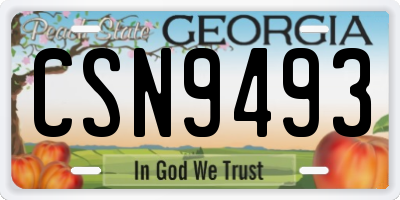 GA license plate CSN9493