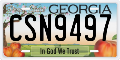 GA license plate CSN9497