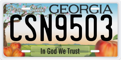 GA license plate CSN9503