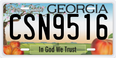 GA license plate CSN9516
