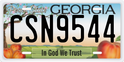 GA license plate CSN9544