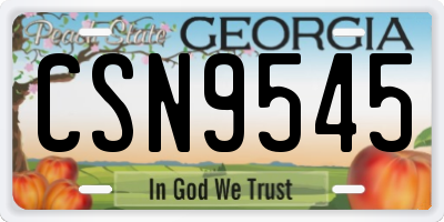 GA license plate CSN9545
