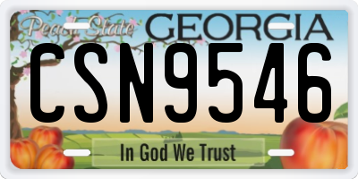 GA license plate CSN9546