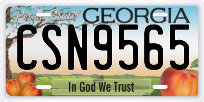GA license plate CSN9565